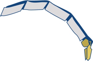 CC11 - PASSE-TUBE