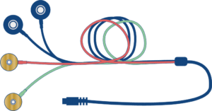 EX10 : QUADRUPLETTE 2 CUPULES / 2 PRESSIONS