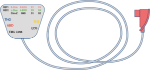 BH06 : CORDON SANGLE PSG